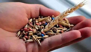 14 Tohum Üreticisine Rekabet Soruşturması