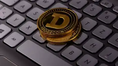 Hazine Bakanlığı'na DOGE Davası