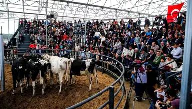 Hayvancılık Desteği: Üreticilere Yem Yardımı