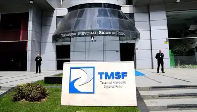 TMSF, İki Şirketin İhalesini Erteledi