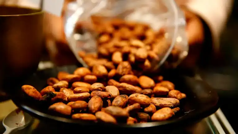 Kakao Fiyatlarında Düşüş: %30'un Üzerinde Gerileme!