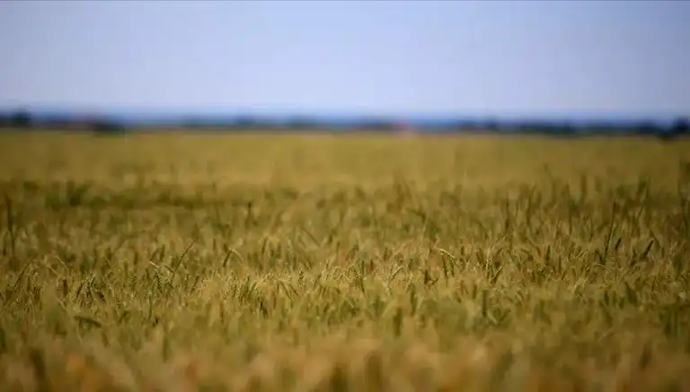 Tarım Girdi Maliyetleri: Alarm Zilleri Çalıyor